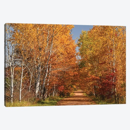 Country Road Canvas Print #BWF562} by Brian Wolf Canvas Print