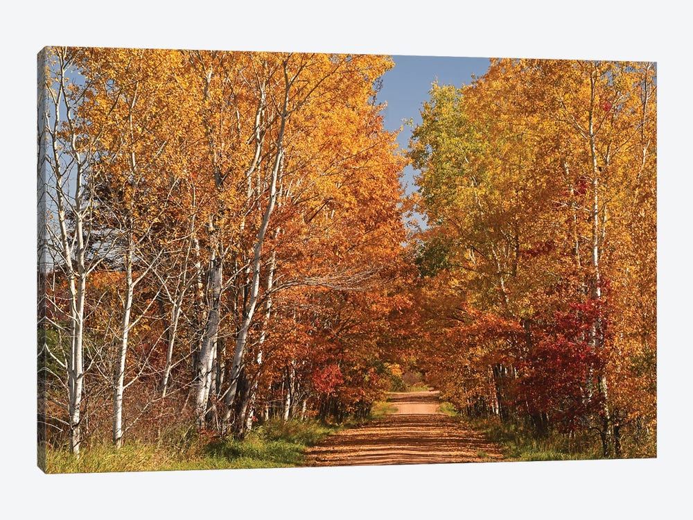 Country Road by Brian Wolf 1-piece Art Print
