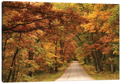 Back Road In Autumn Canvas Art Print - Brian Wolf
