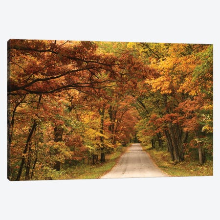 Back Road In Autumn Canvas Print #BWF565} by Brian Wolf Canvas Artwork