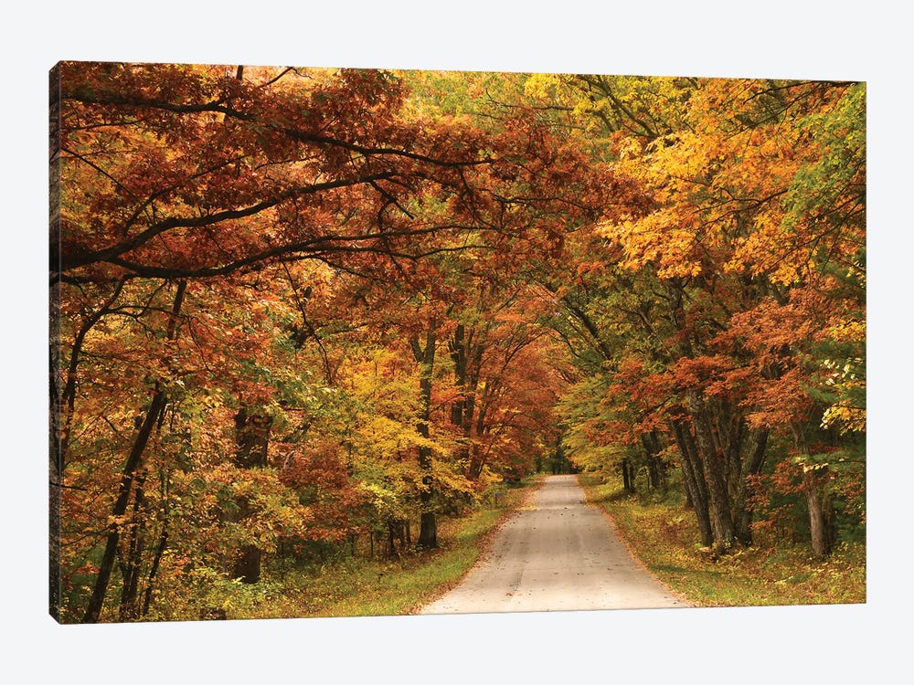 Back Road In Autumn by Brian Wolf 1-piece Canvas Wall Art