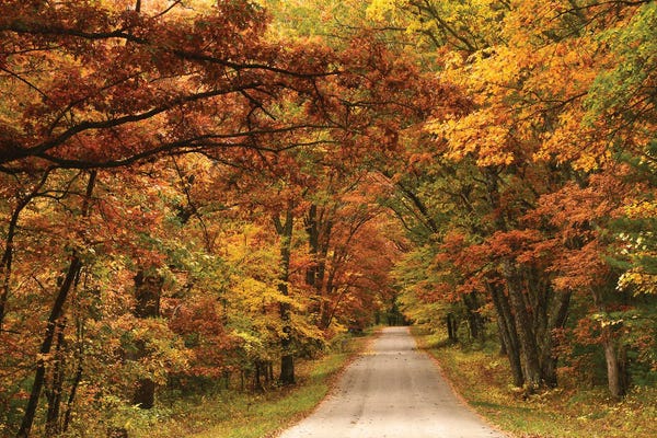 Brian Wolf: Back Road In Autumn by Brian Wolf