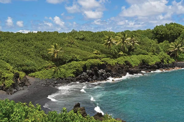 The Big Island (Island Of Hawai'i): Black Sand Beach by Brian Wolf