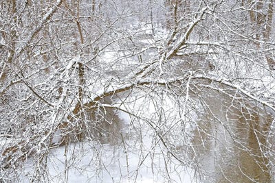 Fresh Snow On The Pike River by Brian Wolf art print