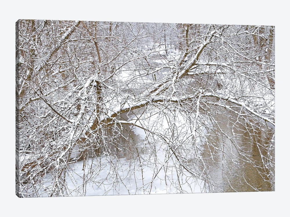 Fresh Snow On The Pike River by Brian Wolf 1-piece Canvas Wall Art