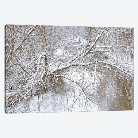 Fresh Snow On The Pike River Canvas Print #BWF587} by Brian Wolf Canvas Wall Art