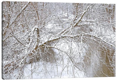 Fresh Snow On The Pike River Canvas Art Print - Brian Wolf