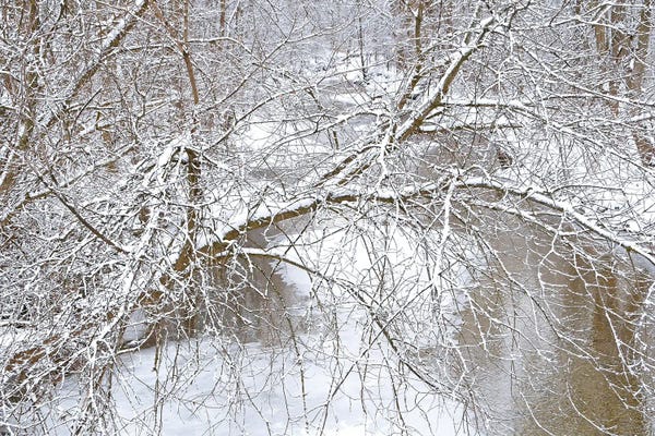 Brian Wolf: Fresh Snow On The Pike River by Brian Wolf