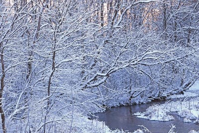 Covered In White by Brian Wolf art print