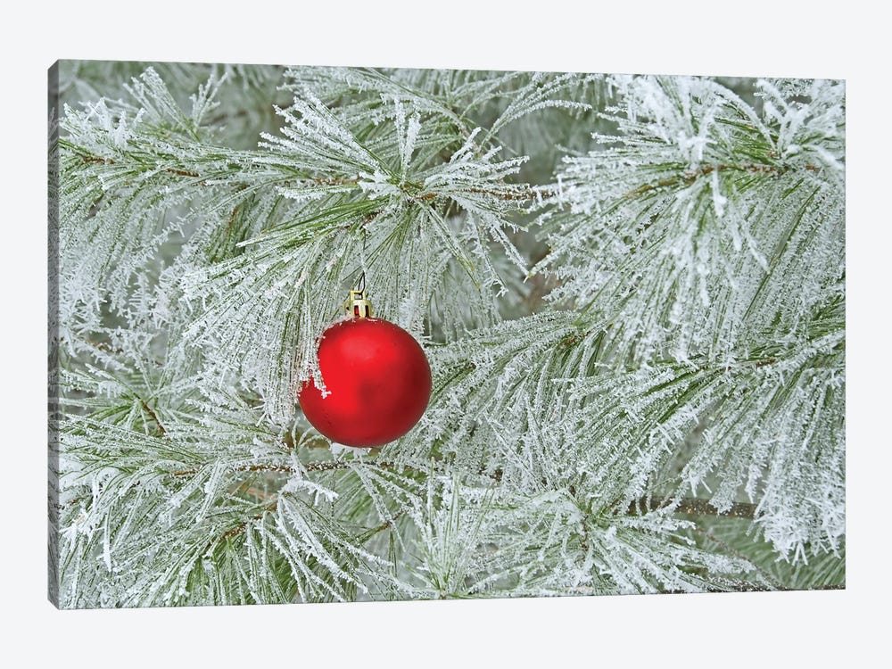 Red Ornament and Rime Frost by Brian Wolf 1-piece Canvas Wall Art