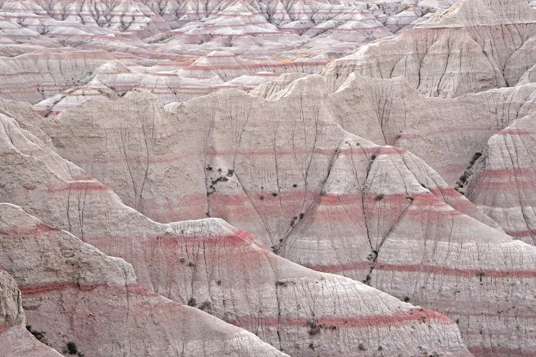 The Badlands - Badlands National Park