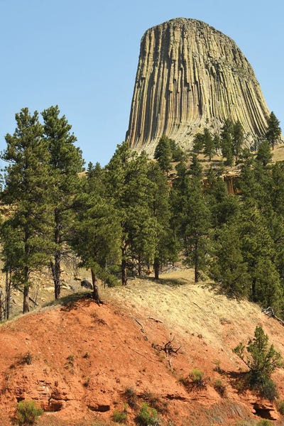 Devil's Tower National Monument - Vertical by Brian Wolf canvas print