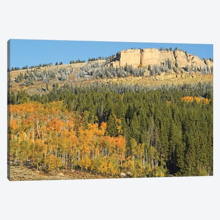 Bighorn Mountains With Aspens And Snow Canvas Print #BWF669} by Brian Wolf Canvas Art