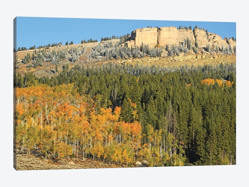 Bighorn Mountains With Aspens And Snow by Brian Wolf 1-piece Canvas Art