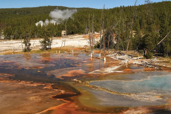 Brian Wolf: Firehole Spring - Yellowstone by Brian Wolf