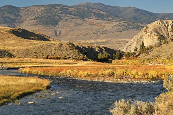 Brian Wolf: Gardiner River by Brian Wolf