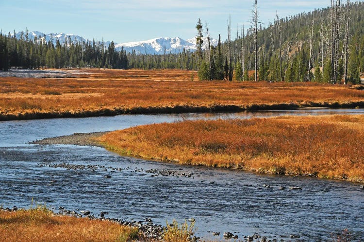 Lewis River - Yellowstone by Brian Wolf wall art