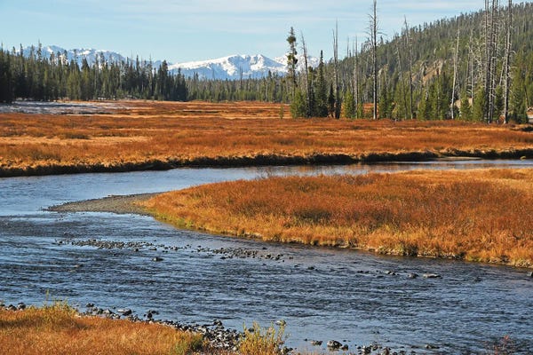 Brian Wolf: Lewis River - Yellowstone by Brian Wolf