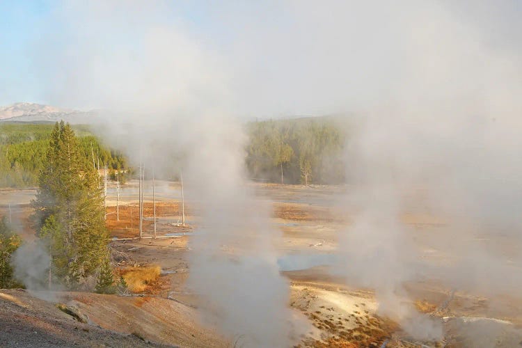 Norris Geyser Basin - Yellowstone