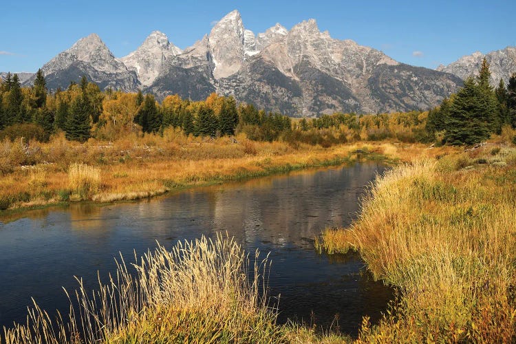 Shwabacker's Landing Grand Tetons by Brian Wolf wall art