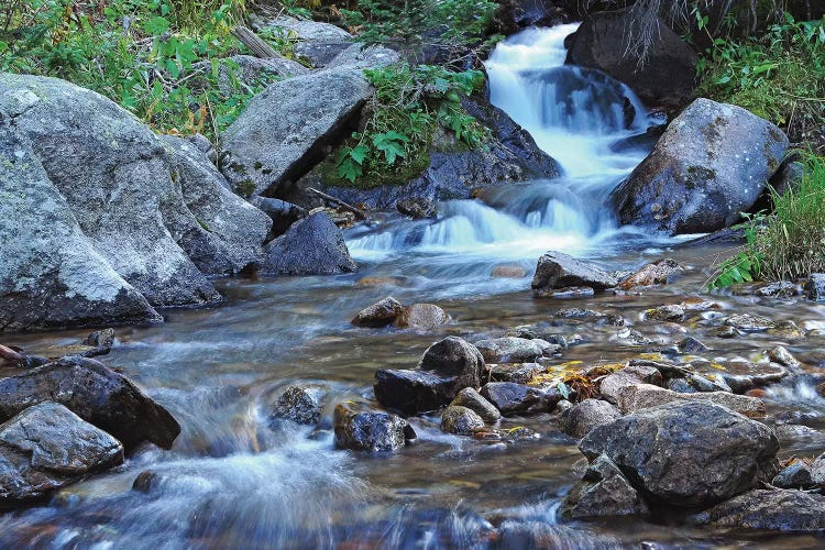 Cascades At Alberta Falls