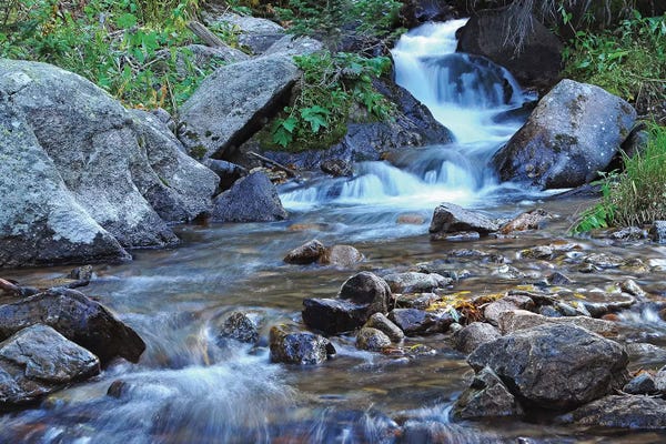 Alberta: Cascades At Alberta Falls by Brian Wolf