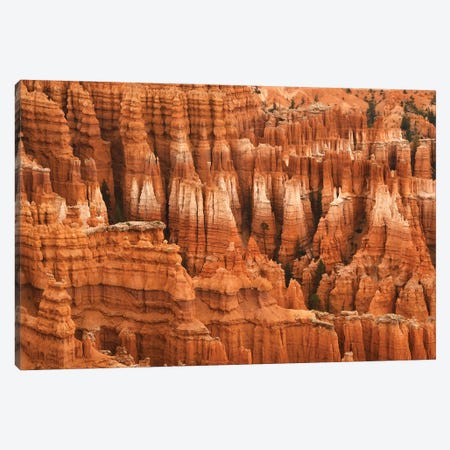 Colorful Hoodoos - Bryce Np Canvas Print #BWF752} by Brian Wolf Canvas Art