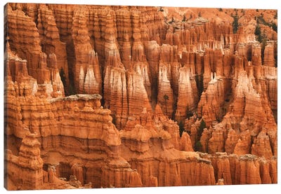 Colorful Hoodoos - Bryce Np Canvas Art Print - Bryce Canyon National Park Art