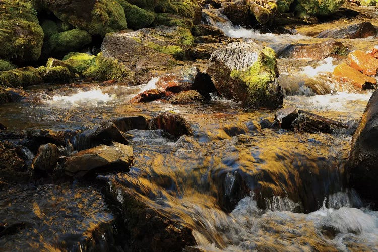 Cascades At- Maroon Bells by Brian Wolf wall art