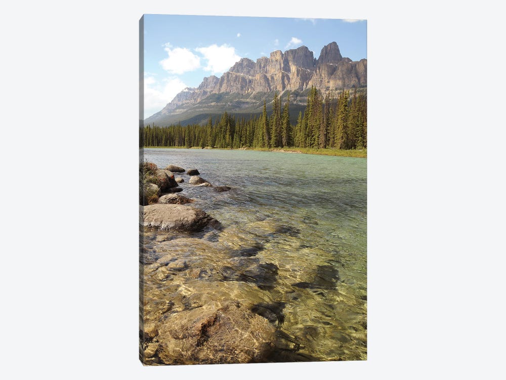 Castle Mountain by Brian Wolf 1-piece Art Print