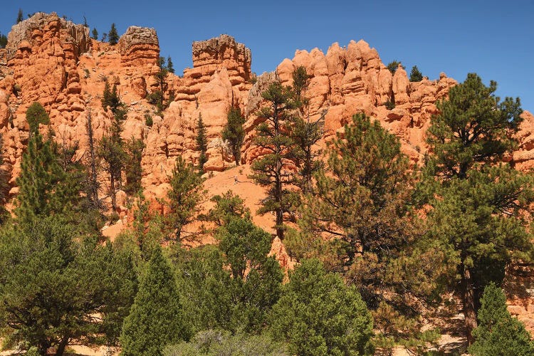 Red Canyon Formationis - Utah