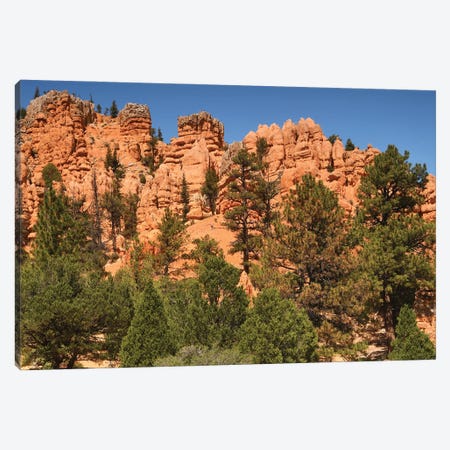 Red Canyon Formationis - Utah Canvas Print #BWF779} by Brian Wolf Canvas Art