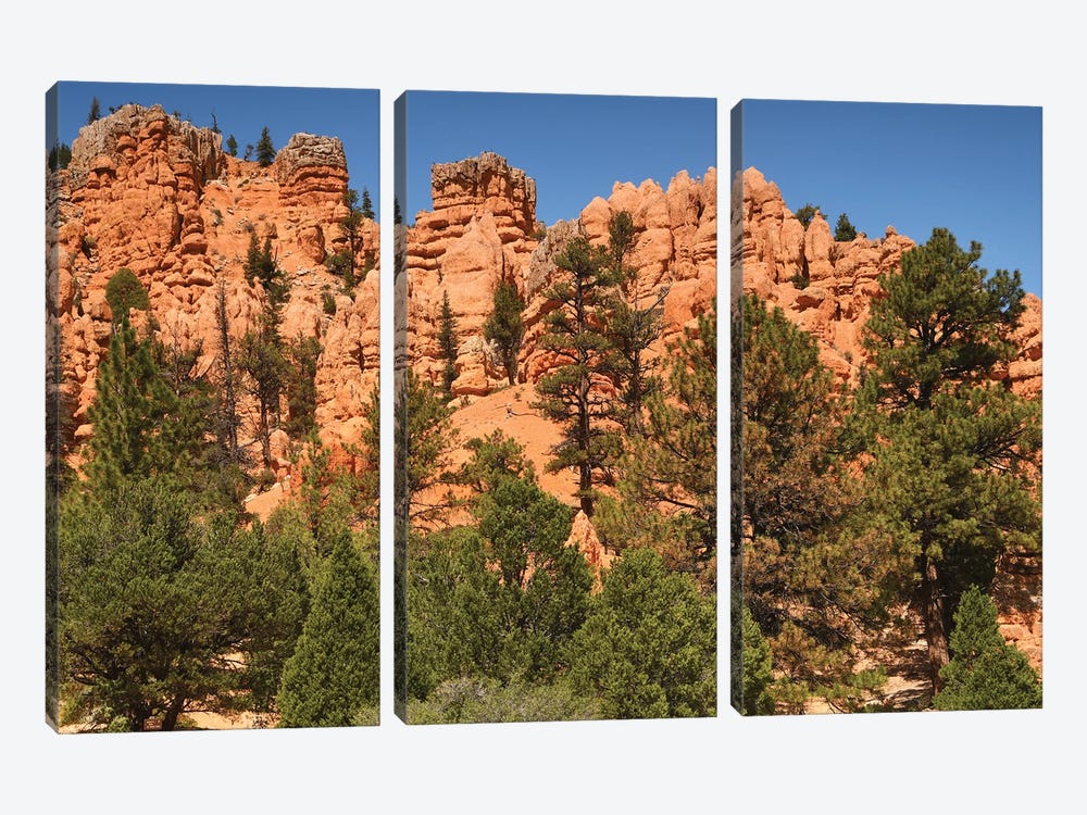 Red Canyon Formationis - Utah by Brian Wolf 3-piece Canvas Artwork