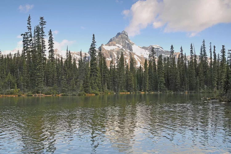 Cathedral Mountain