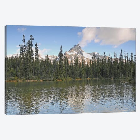 Cathedral Mountain Canvas Print #BWF77} by Brian Wolf Art Print