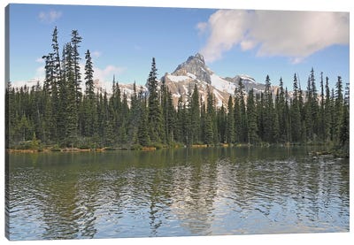 Cathedral Mountain Canvas Art Print