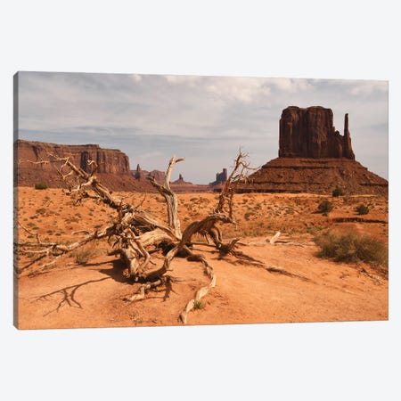 West Mitten - Monument Valley Canvas Print #BWF786} by Brian Wolf Canvas Wall Art