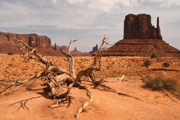 Utah: West Mitten - Monument Valley by Brian Wolf
