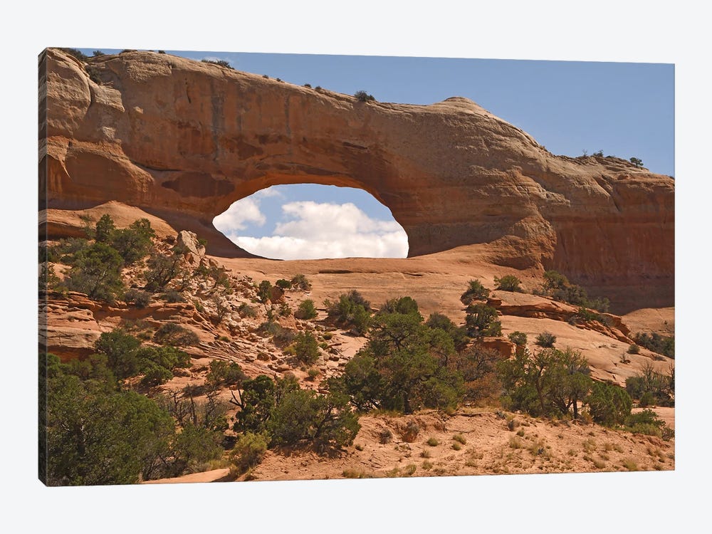 Wilson's Arch - Utah by Brian Wolf 1-piece Canvas Print