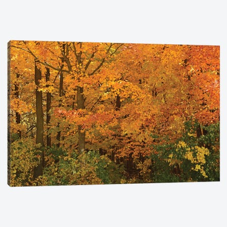 Wisconsin Colors Canvas Print #BWF806} by Brian Wolf Art Print