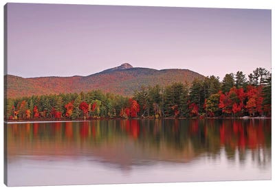 Chocorua Lake Sunrise Canvas Art Print - New Hampshire