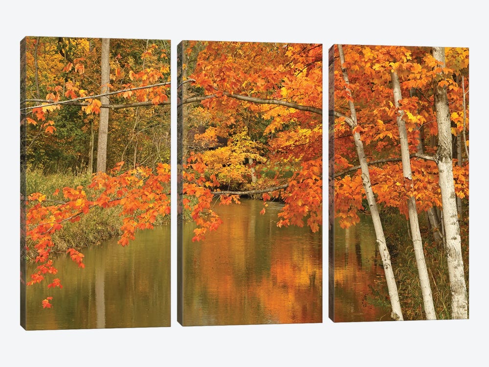 Maple Trees Reflecting In The River by Brian Wolf 3-piece Canvas Artwork