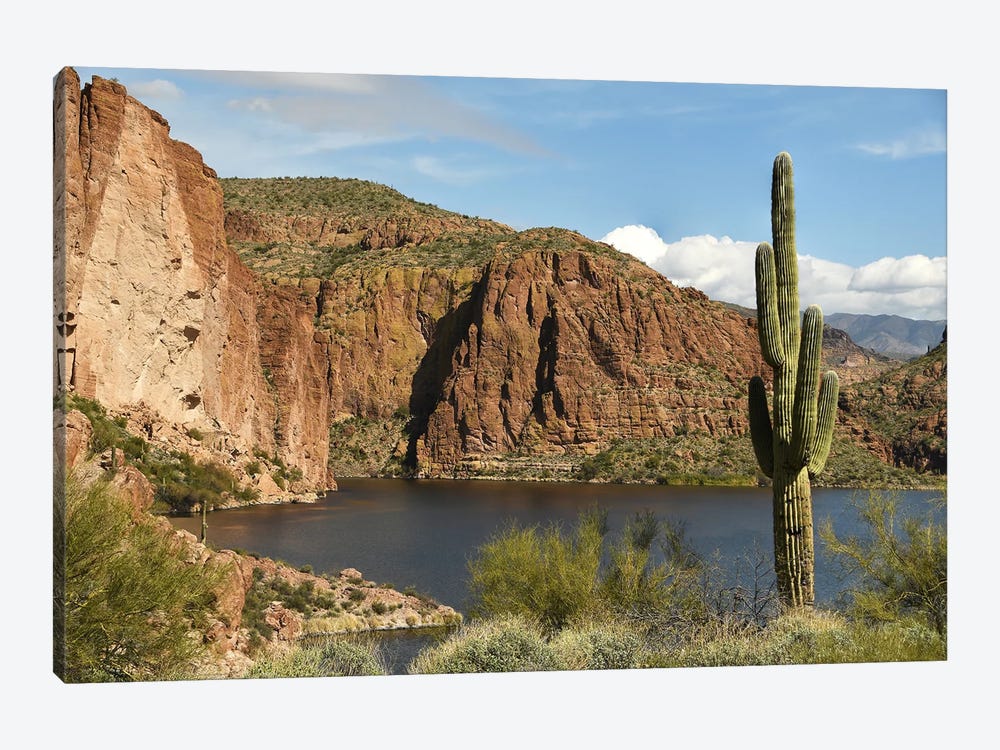 Canyon Lake - Tonto National Forest - Arizona by Brian Wolf 1-piece Canvas Art Print