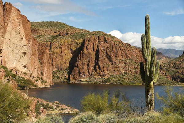 Fine Art Print: Canyon Lake - Tonto National Forest - Arizona by Brian Wolf