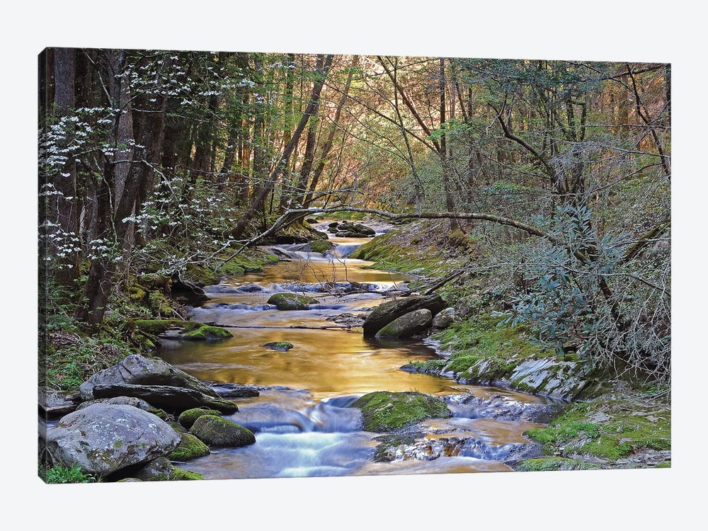 Colorful Creek by Brian Wolf 1-piece Canvas Artwork