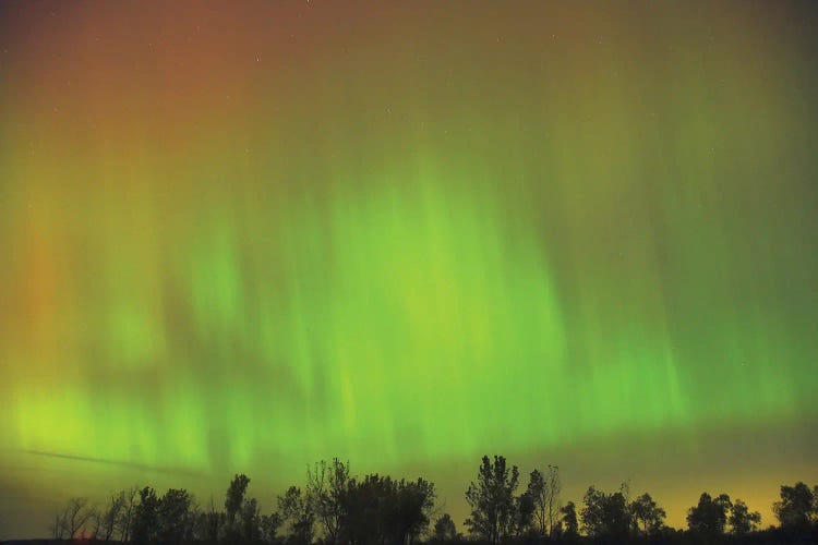 Northern Light Patterns by Brian Wolf canvas print