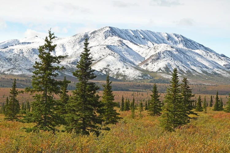 The Alaskan Range by Brian Wolf wall art