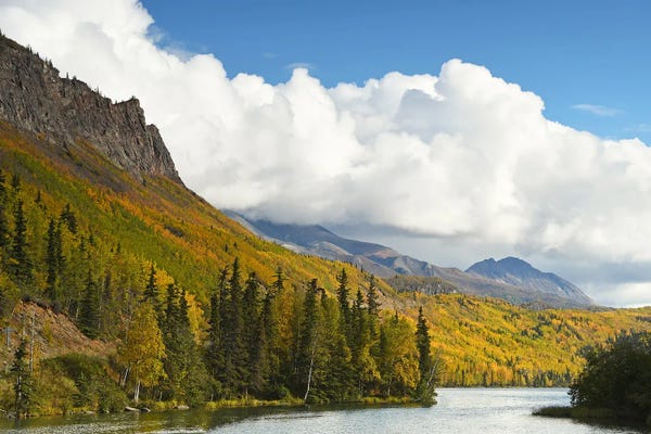 Brian Wolf: Glenn Highway Landscape - Alaska by Brian Wolf