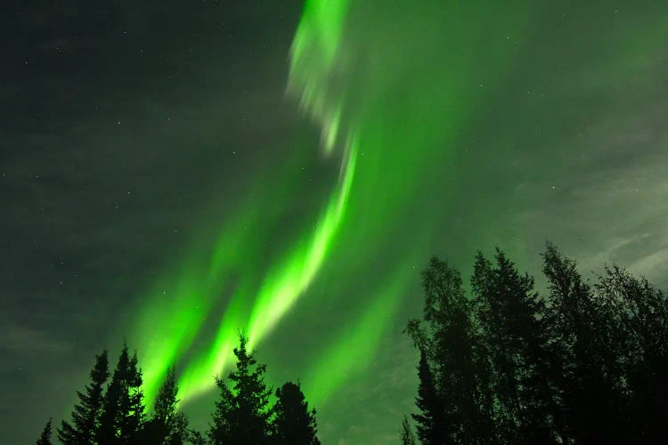 Northern Lights - Fairbabanks by Brian Wolf canvas print