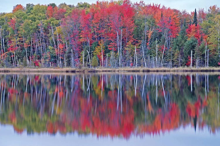 Council Lake Autumn